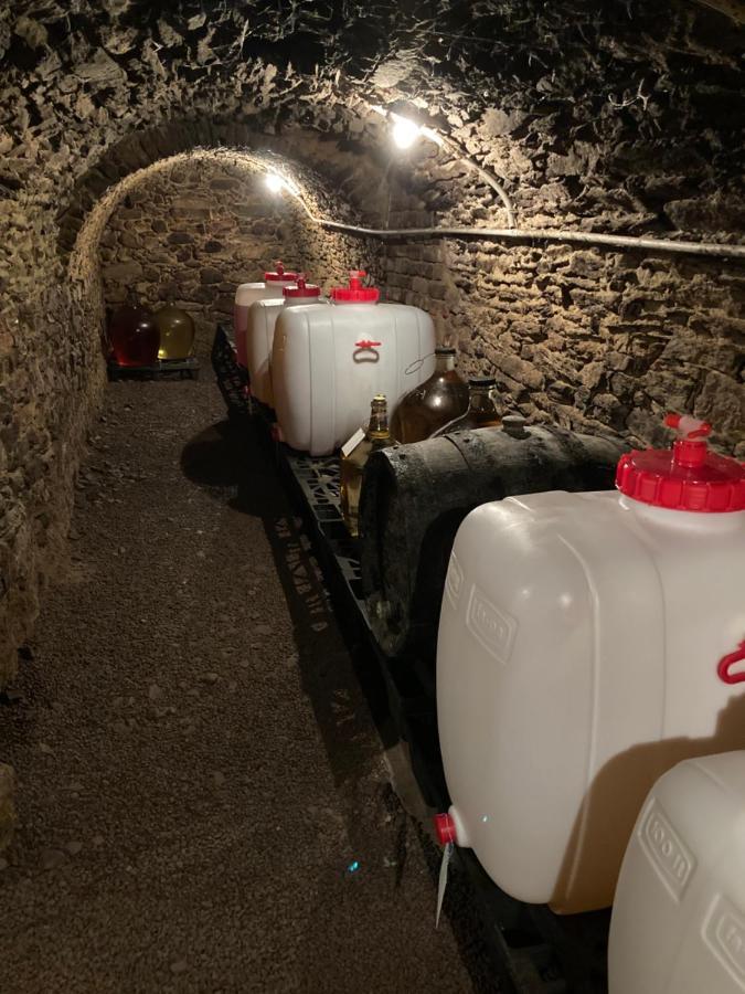 Ubytovani Smudla Znojmo Exterior foto